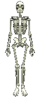 esqueletow